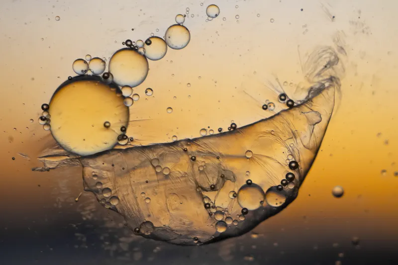 Série Alchimie Liquide